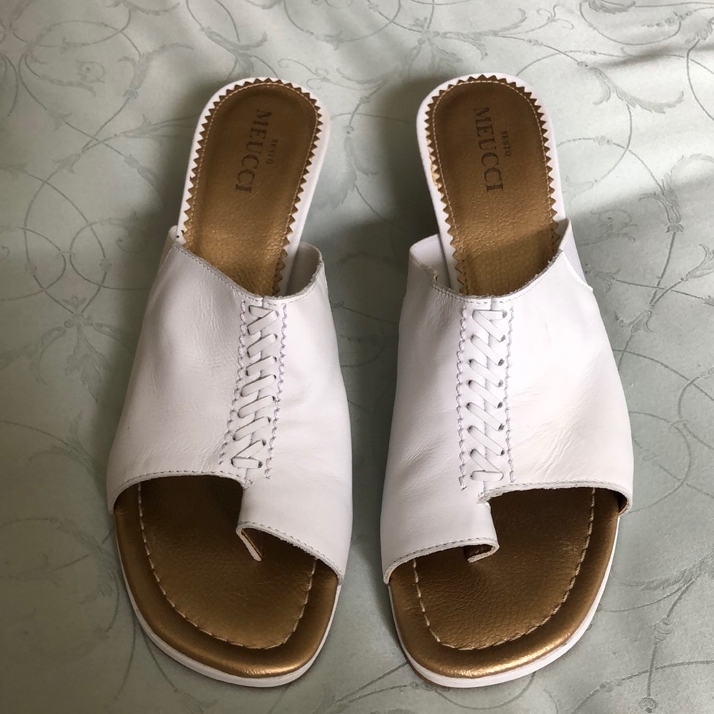 Sesto Meucci shoes